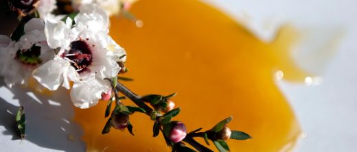 Manuka-Honig • Wirkung und Anwendung!