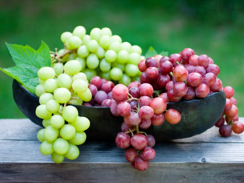Weintrauben sorgen für gute Laune