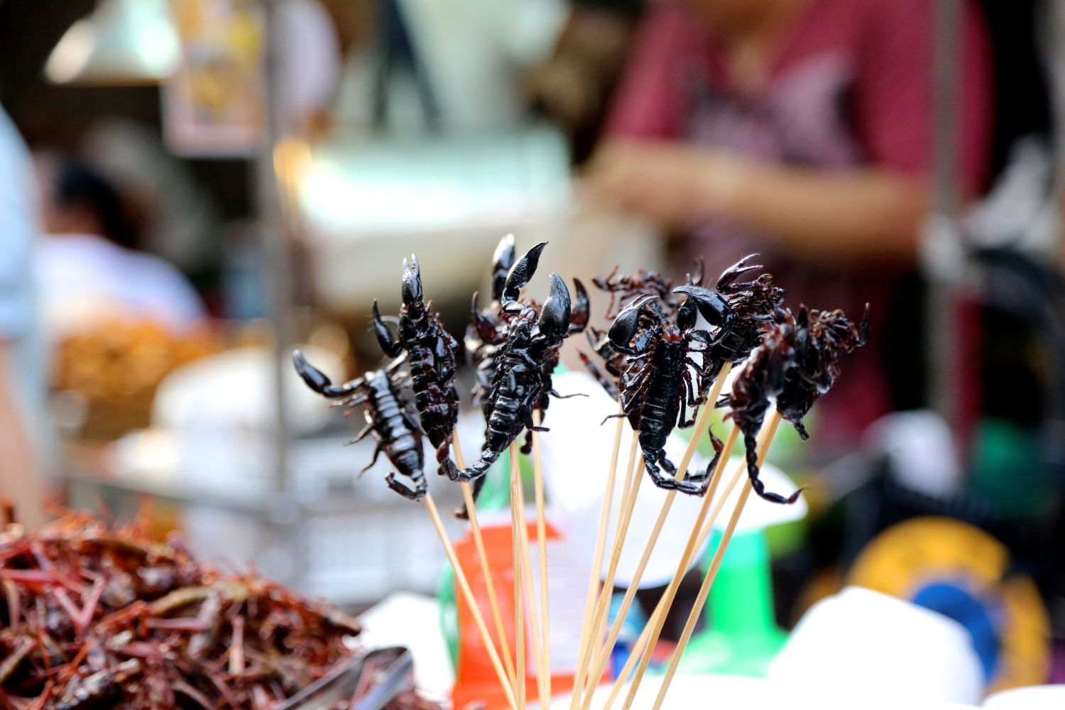 Insekten essen â€¢ EiweiÃŸquelle fÃ¼r Mutige