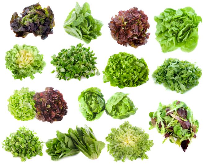 Wie Viele Kalorien Hat Gruner Salat