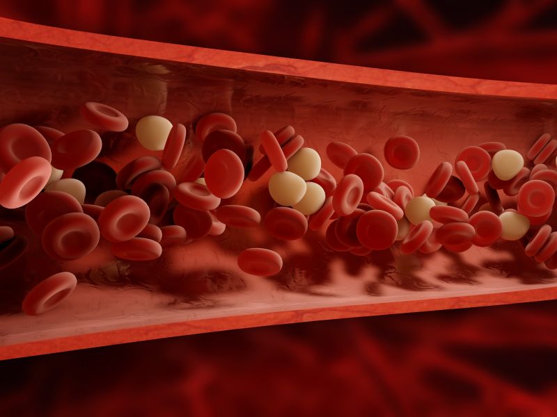 MCHC – Hämoglobin und rote Blutkörperchen