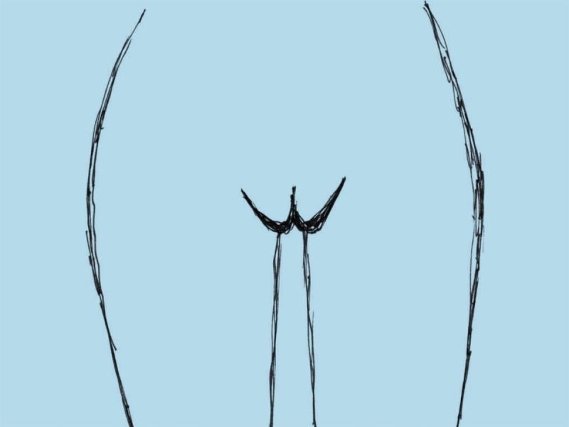 Vulva-Form: Ms. Puffs