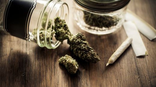 Cannabis als Droge • Legalisierung, Wirkung & Entzug