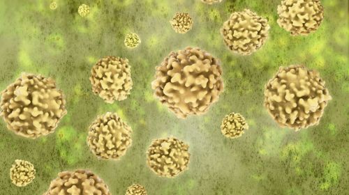 Herpes an der scheide behandlung