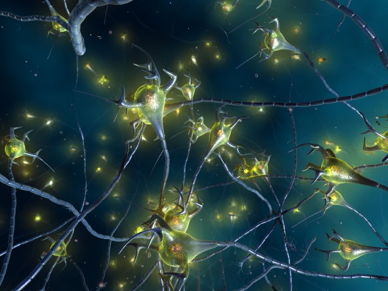 Milliarden Nervenzellen