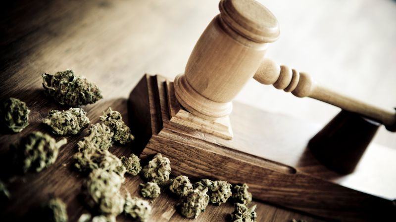 Fakten Uber Cannabis Legalisierung Wirkung Rezept