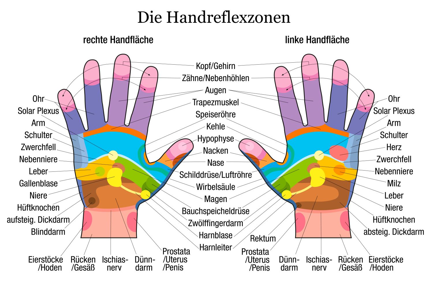 download Gelassen und sicher im